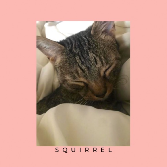 Welcome to the Maypop Market closet. - Picture 5 of 11